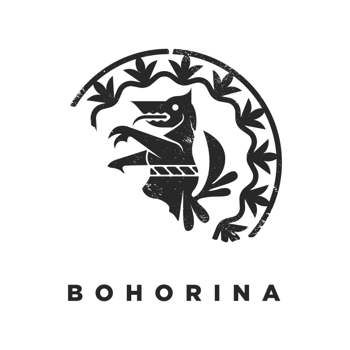 bohorina-logo.png